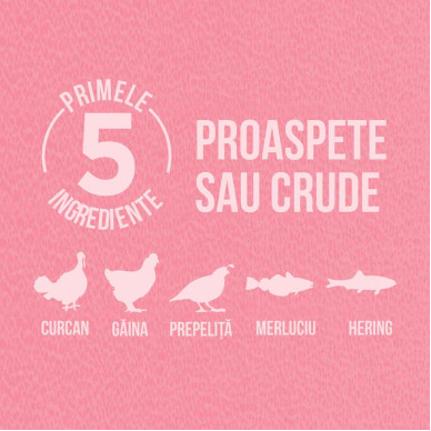 ORIJEN Small Breed – hrană uscată fără cereale pentru câini adulți de talie mică, 1,8 kg